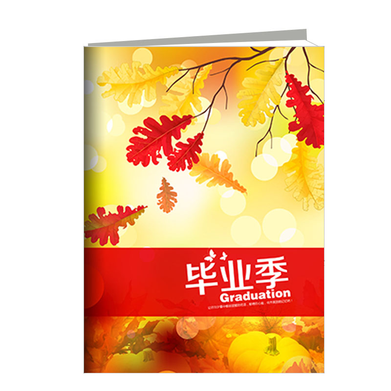 荏苒 激光冲印皮册